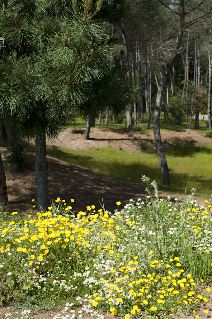 Oliveira do Bairro Sports Park